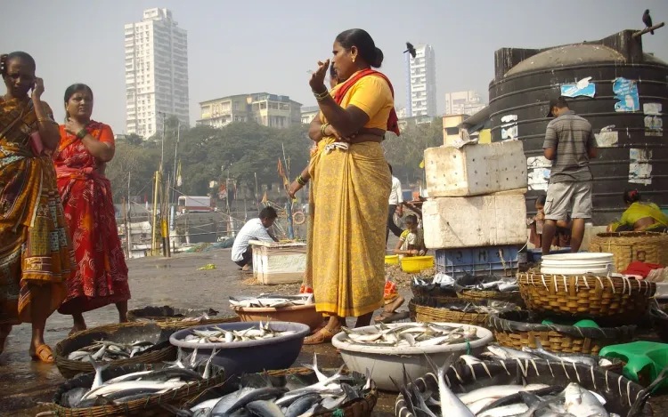 Fish in baskets at a fish auction on a dock in Mumbai, for farm, fish and produce traders